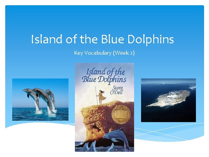 Island of the Blue Dolphins Key Vocabulary (Week 2) 