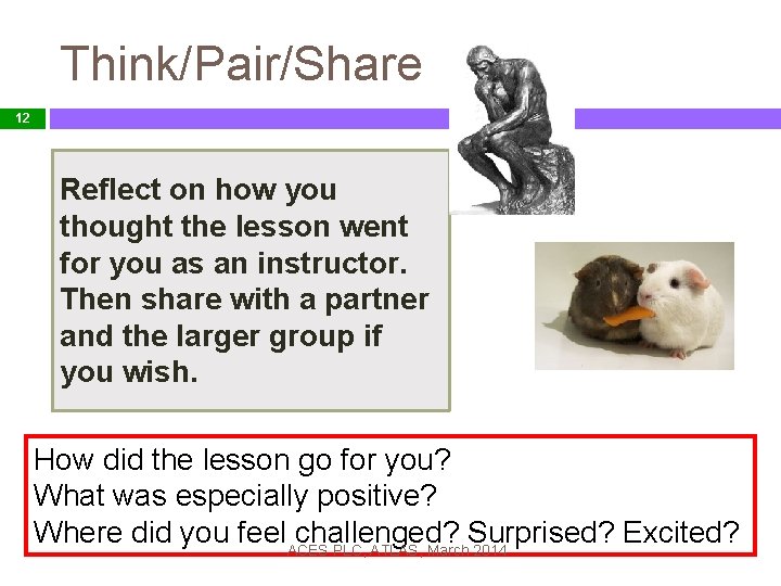 Think/Pair/Share 12 Reflect on how you thought the lesson went for you as an