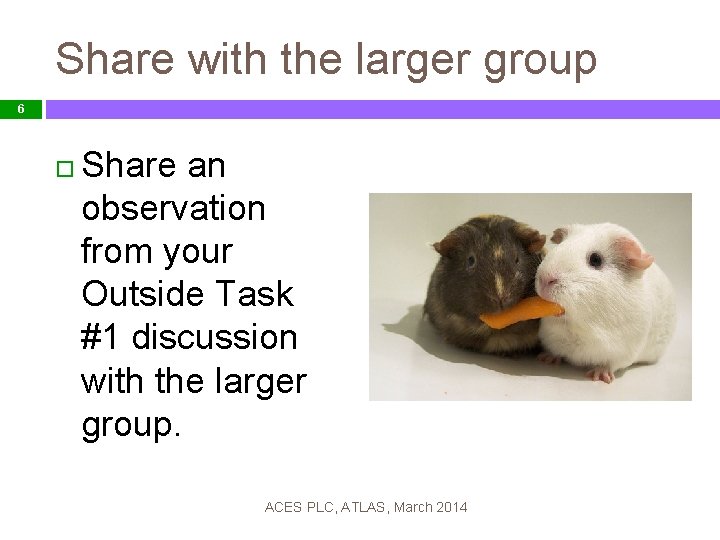 Share with the larger group 6 Share an observation from your Outside Task #1