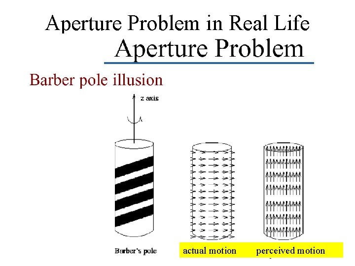 Aperture Problem in Real Life actual motion 24 perceived motion 