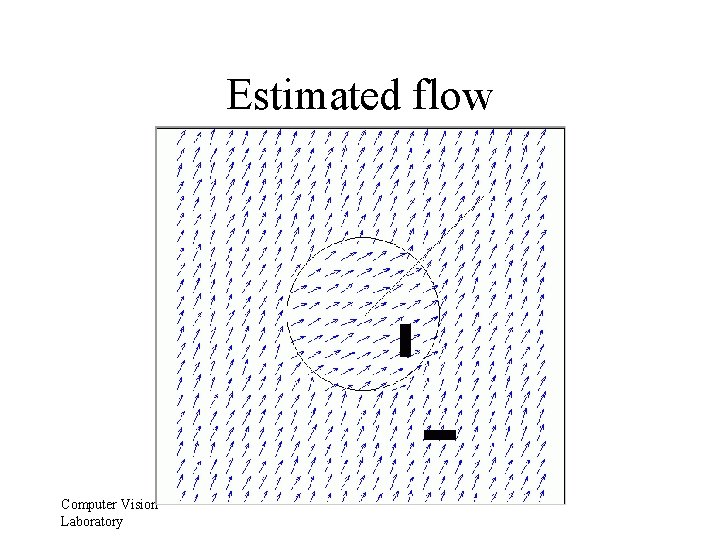 Estimated flow Computer Vision Laboratory 