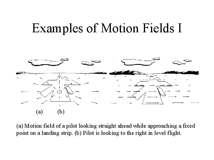 Examples of Motion Fields I (a) (b) (a) Motion field of a pilot looking