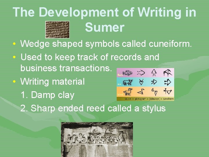 The Development of Writing in Sumer • Wedge shaped symbols called cuneiform. • Used