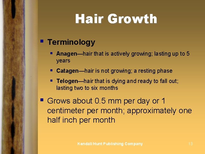 Hair Growth § § Terminology § Anagen—hair that is actively growing; lasting up to