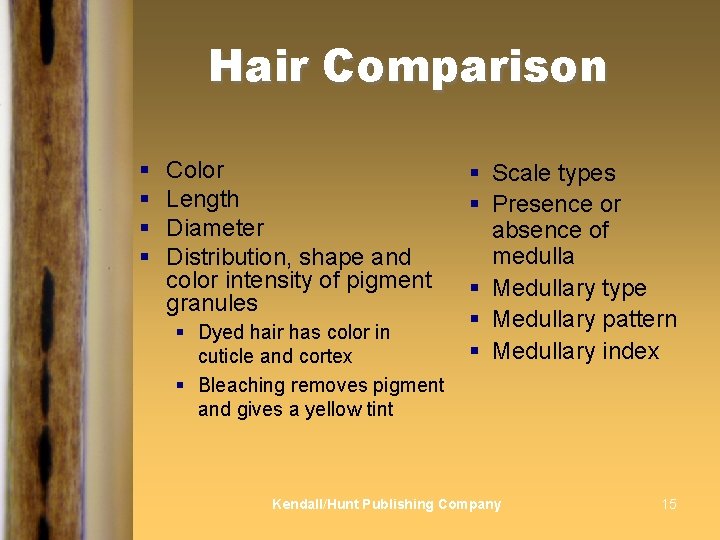 Hair Comparison § § Color Length Diameter Distribution, shape and color intensity of pigment