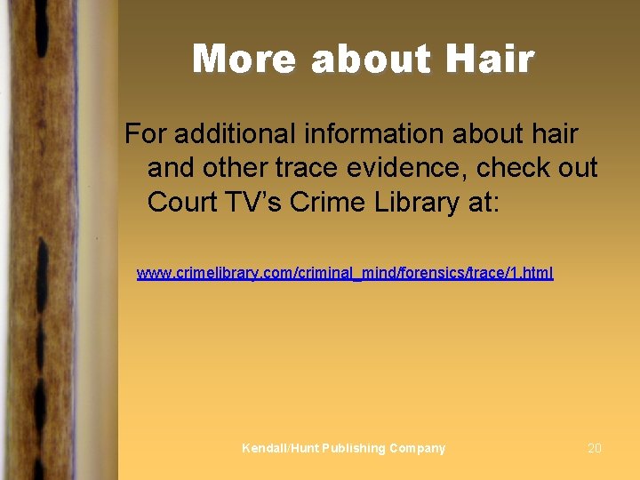 More about Hair For additional information about hair and other trace evidence, check out