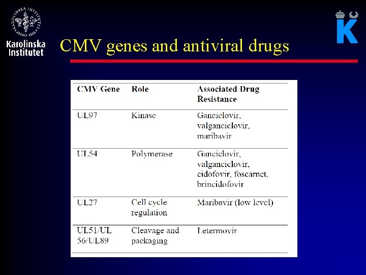 CMV genes and antiviral drugs 