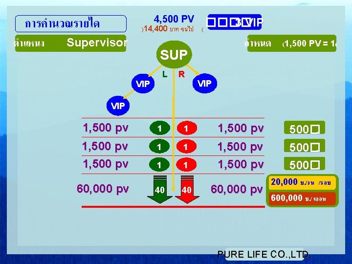 การคำนวณรายได ตำแหนง 4, 500 PV )14, 400 บาท ขนไป ( Supervisor ���� 3 VIP