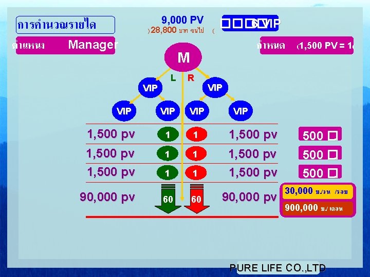 การคำนวณรายได ตำแหนง 9, 000 PV ) 28, 800 บาท ขนไป ( Manager ���� 6