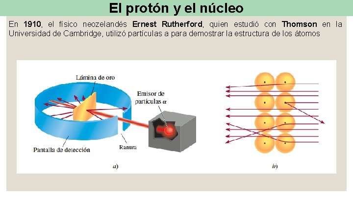 El protón y el núcleo En 1910, el físico neozelandés Ernest Rutherford, quien estudió