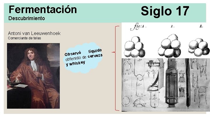 Fermentación Descubrimiento Antoni van Leeuwenhoek Comerciante de telas líquido ó v r e s