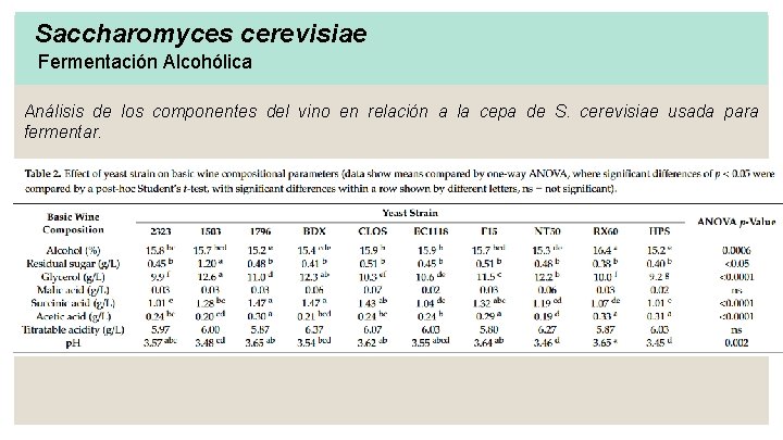Saccharomyces cerevisiae Fermentación Alcohólica Análisis de los componentes del vino en relación a la