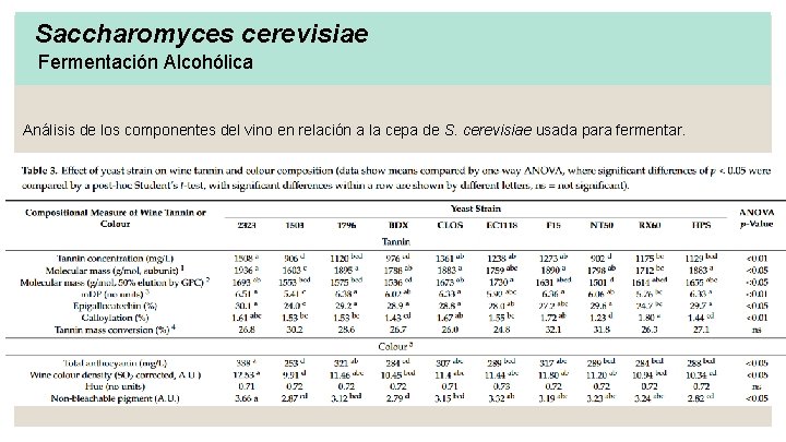 Saccharomyces cerevisiae Fermentación Alcohólica Análisis de los componentes del vino en relación a la