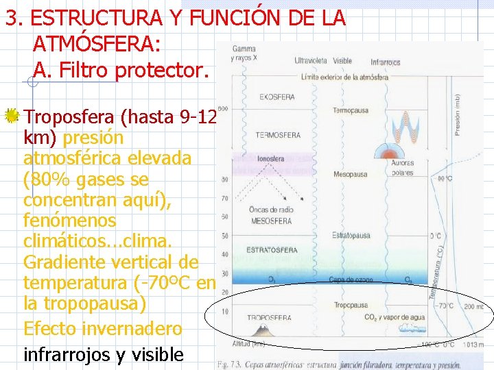 3. ESTRUCTURA Y FUNCIÓN DE LA ATMÓSFERA: A. Filtro protector. Troposfera (hasta 9 -12