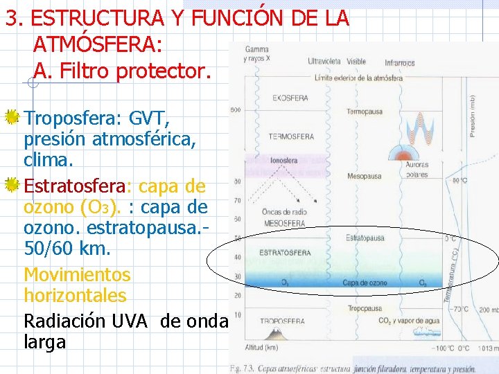 3. ESTRUCTURA Y FUNCIÓN DE LA ATMÓSFERA: A. Filtro protector. Troposfera: GVT, presión atmosférica,
