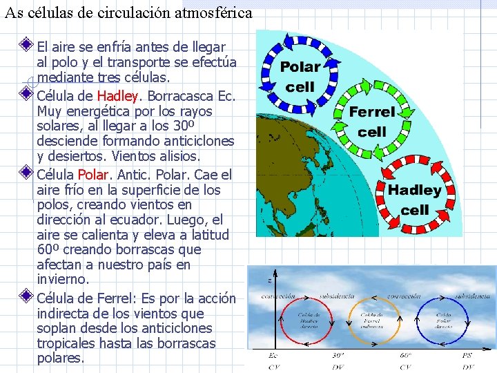 As células de circulación atmosférica El aire se enfría antes de llegar al polo