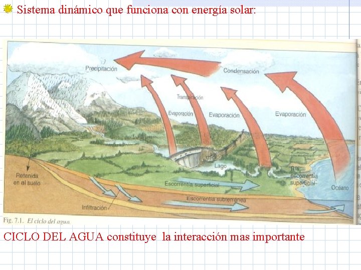 Sistema dinámico que funciona con energía solar: CICLO DEL AGUA constituye la interacción mas