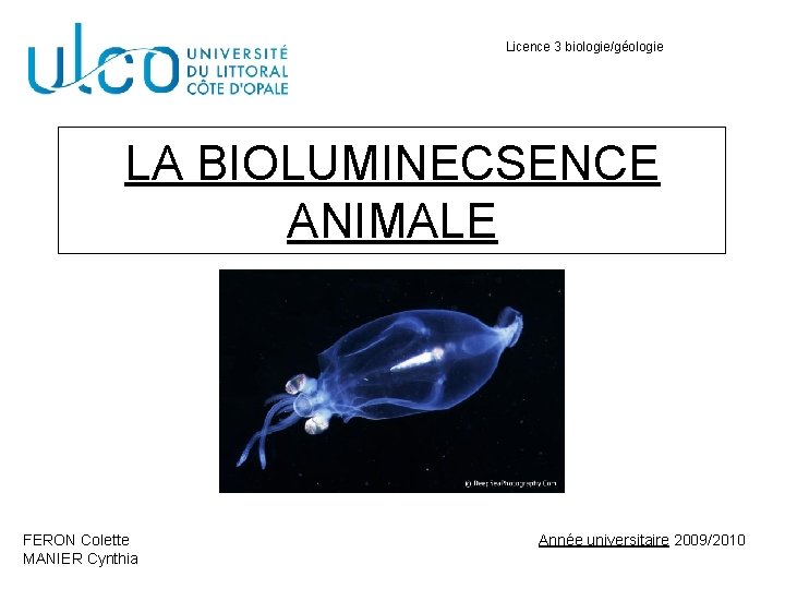 Licence 3 biologie/géologie LA BIOLUMINECSENCE ANIMALE FERON Colette MANIER Cynthia Année universitaire 2009/2010 