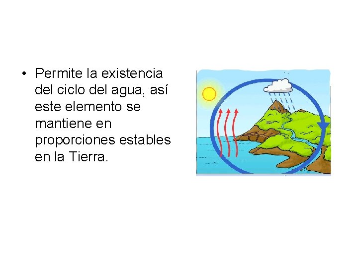 • Permite la existencia del ciclo del agua, así este elemento se mantiene • Permite la existencia del ciclo del agua, así este elemento se mantiene