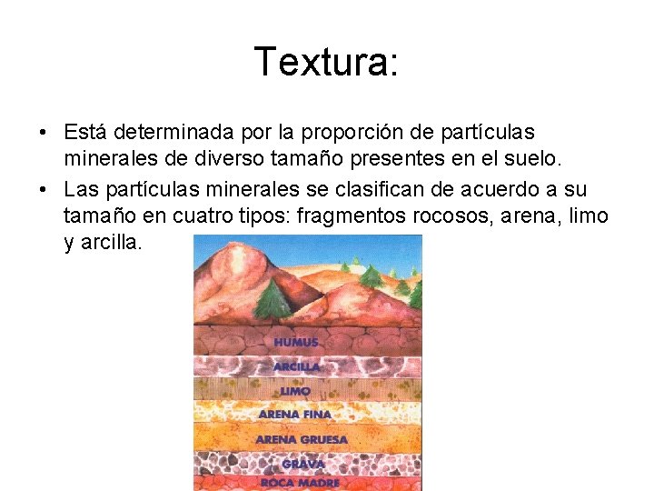 Textura: • Está determinada por la proporción de partículas minerales de diverso tamaño presentes Textura: • Está determinada por la proporción de partículas minerales de diverso tamaño presentes