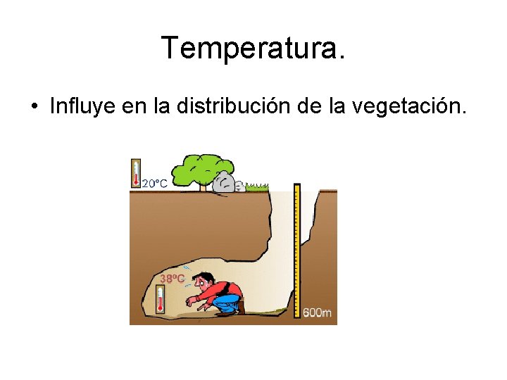 Temperatura. • Influye en la distribución de la vegetación. Temperatura. • Influye en la distribución de la vegetación.