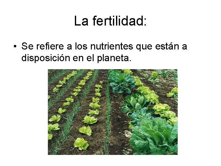 La fertilidad: • Se refiere a los nutrientes que están a disposición en el La fertilidad: • Se refiere a los nutrientes que están a disposición en el