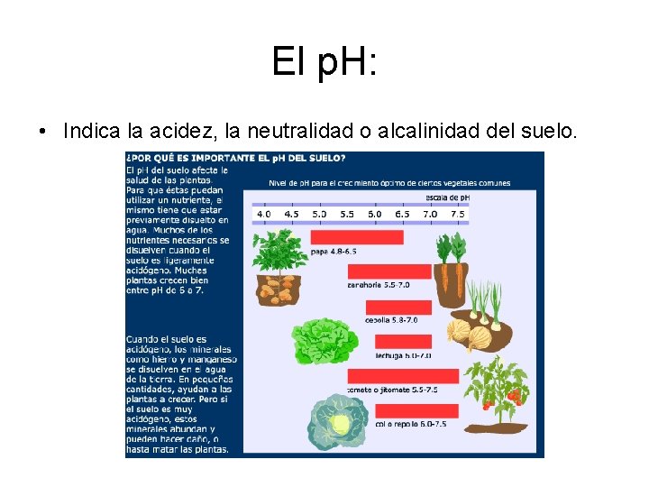 El p. H: • Indica la acidez, la neutralidad o alcalinidad del suelo. El p. H: • Indica la acidez, la neutralidad o alcalinidad del suelo.