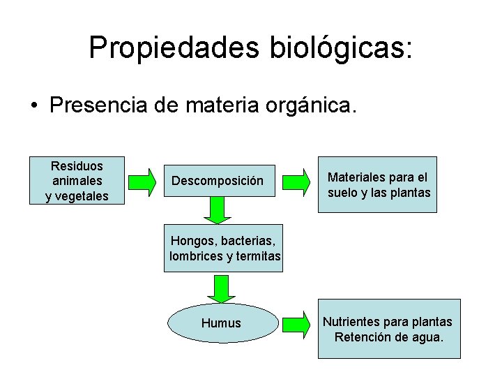 Propiedades biológicas: • Presencia de materia orgánica. Residuos animales y vegetales Descomposición Materiales para Propiedades biológicas: • Presencia de materia orgánica. Residuos animales y vegetales Descomposición Materiales para
