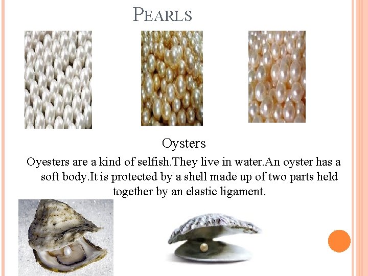 PEARLS Oysters Oyesters are a kind of selfish. They live in water. An oyster