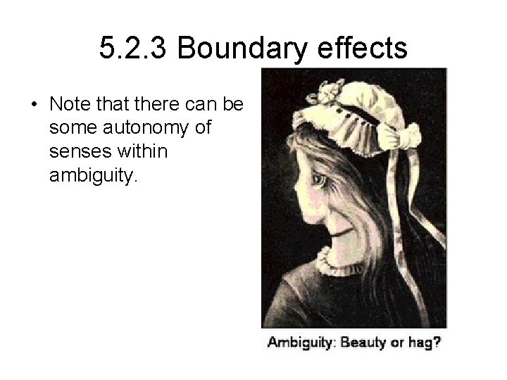 5. 2. 3 Boundary effects • Note that there can be some autonomy of