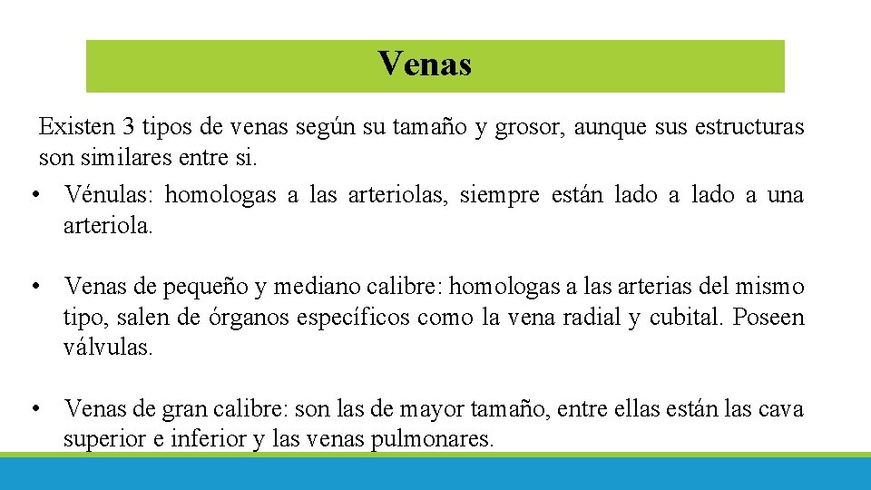 Venas Existen 3 tipos de venas según su tamaño y grosor, aunque sus estructuras