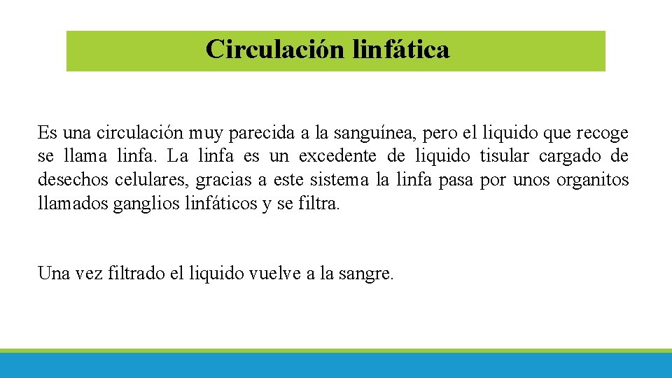 Circulación linfática Es una circulación muy parecida a la sanguínea, pero el liquido que