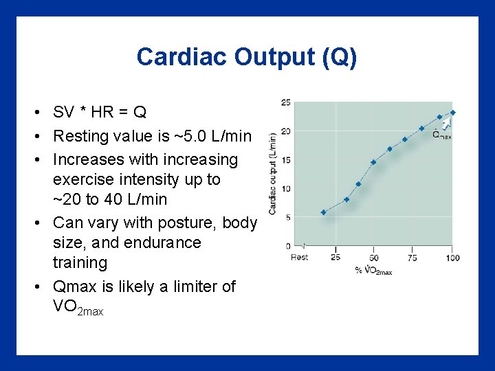 Cardiac Output (Q) • SV * HR = Q • Resting value is ~5.