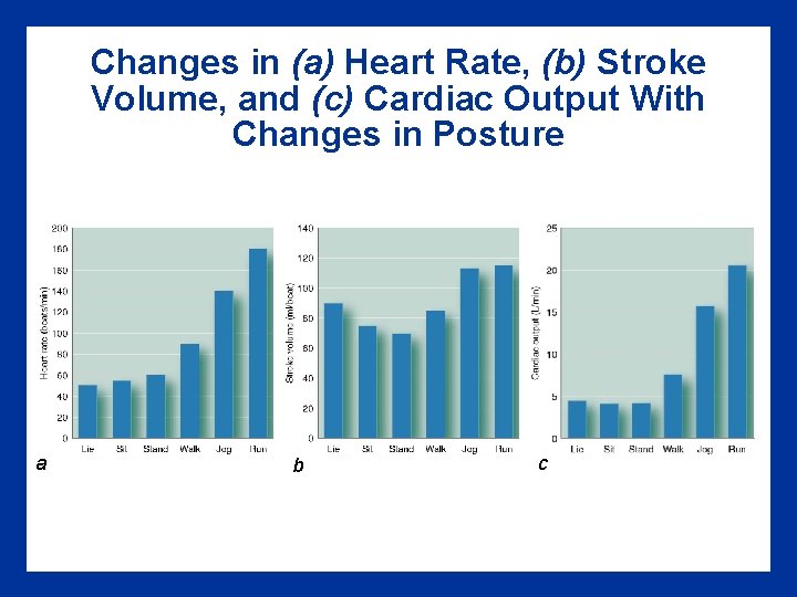 Changes in (a) Heart Rate, (b) Stroke Volume, and (c) Cardiac Output With Changes