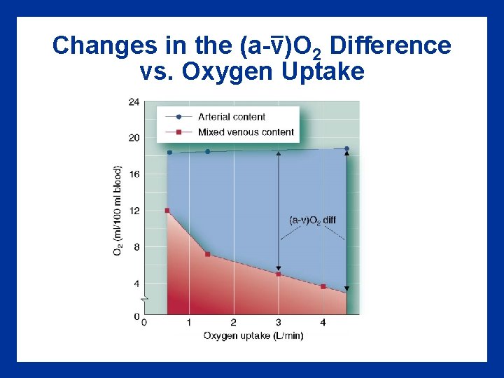 – Changes in the (a-v)O 2 Difference vs. Oxygen Uptake 