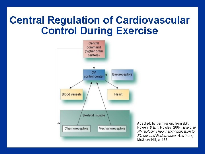 Central Regulation of Cardiovascular Control During Exercise Adapted, by permission, from S. K. Powers
