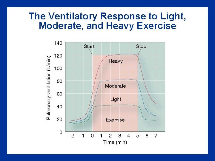 The Ventilatory Response to Light, Moderate, and Heavy Exercise 