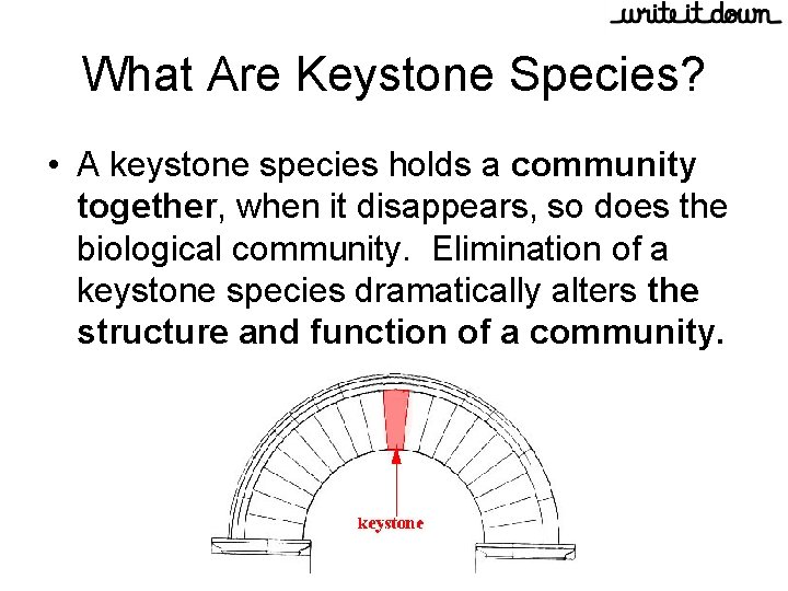 What Are Keystone Species? • A keystone species holds a community together, when it
