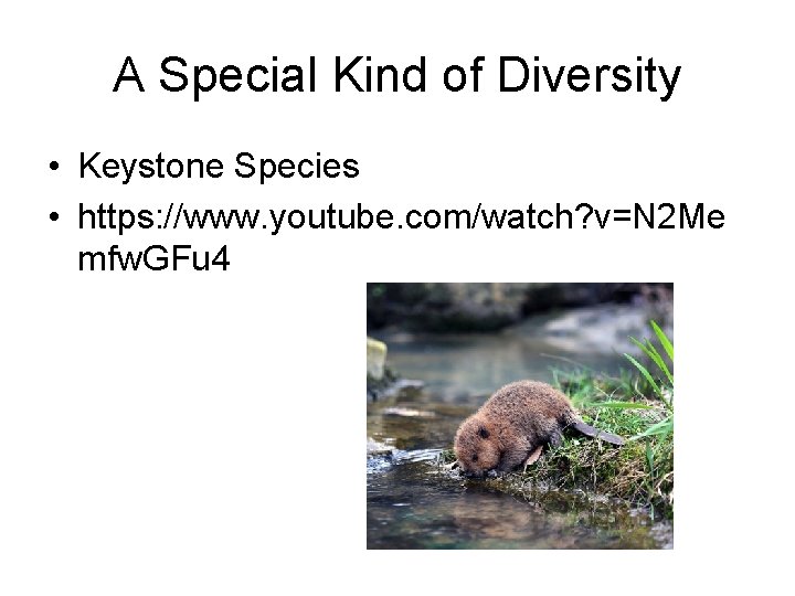 A Special Kind of Diversity • Keystone Species • https: //www. youtube. com/watch? v=N
