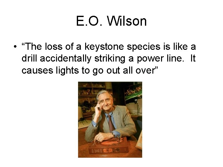 E. O. Wilson • “The loss of a keystone species is like a drill