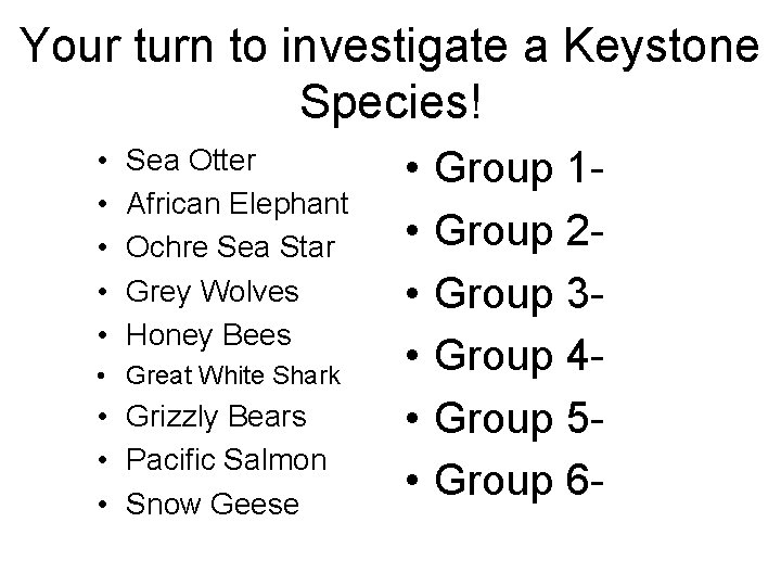 Your turn to investigate a Keystone Species! • • • Sea Otter African Elephant