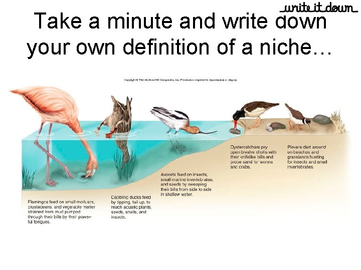 Take a minute and write down your own definition of a niche… 