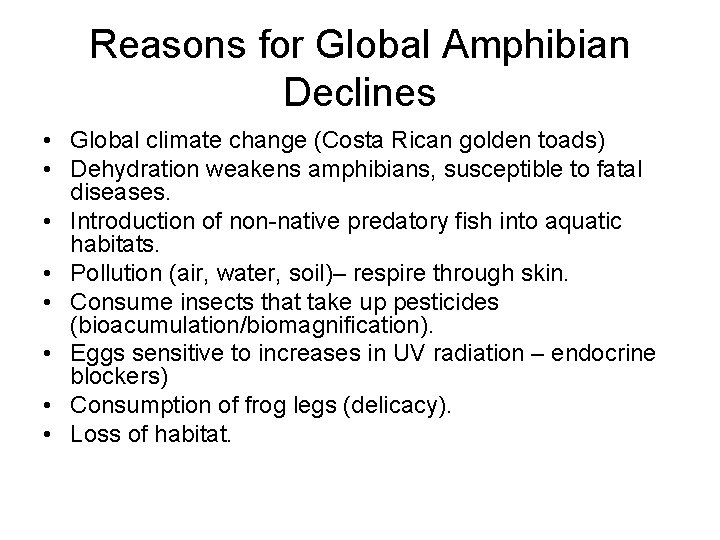 Reasons for Global Amphibian Declines • Global climate change (Costa Rican golden toads) •