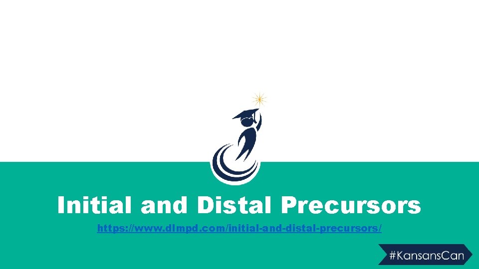Initial and Distal Precursors https: //www. dlmpd. com/initial-and-distal-precursors/ 
