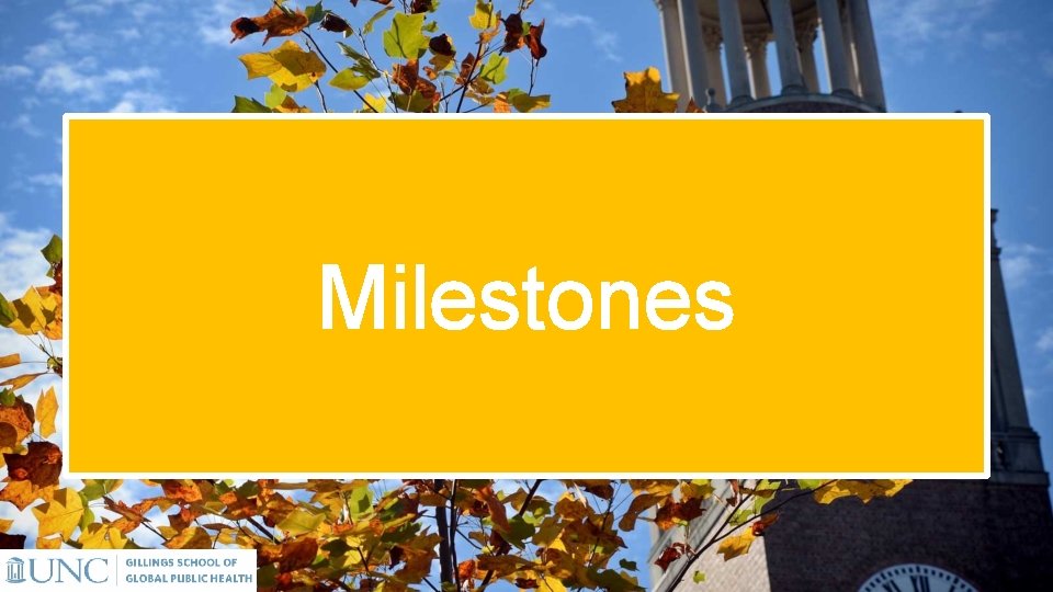 Milestones 