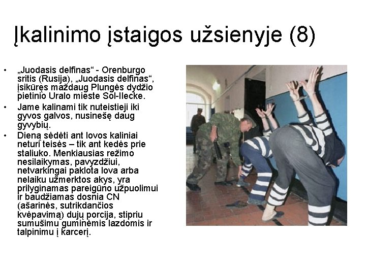 Įkalinimo įstaigos užsienyje (8) • • • „Juodasis delfinas“ - Orenburgo sritis (Rusija), „Juodasis