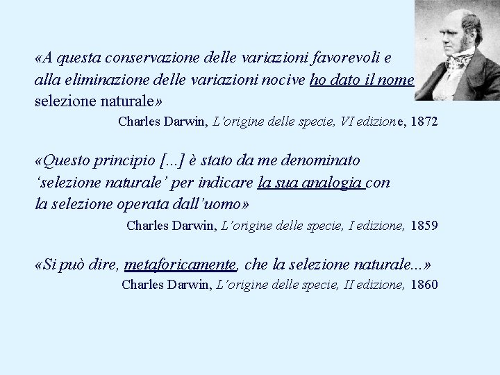  «A questa conservazione delle variazioni favorevoli e alla eliminazione delle variazioni nocive ho