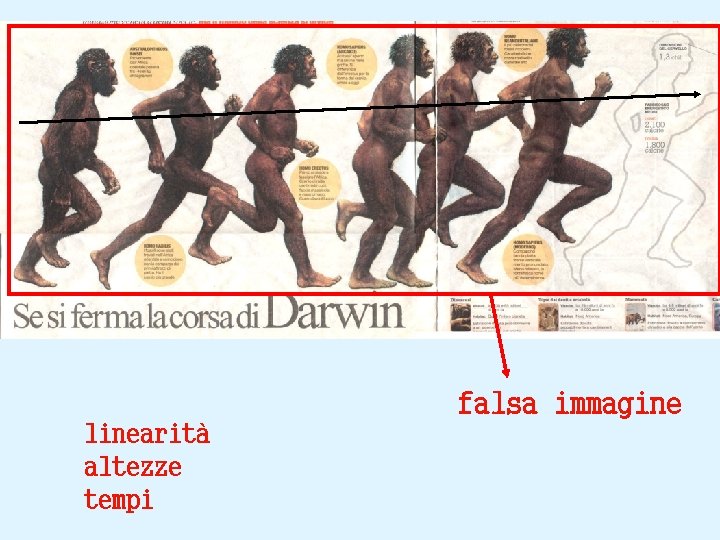 linearità altezze tempi falsa immagine 