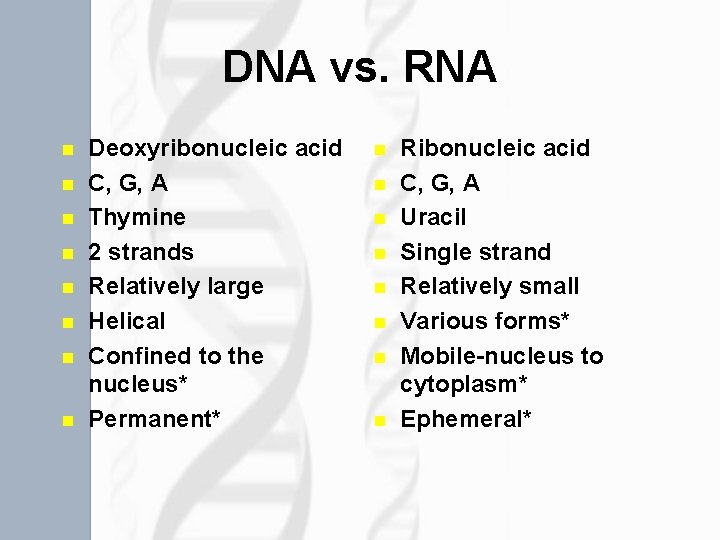 DNA vs. RNA n n n n Deoxyribonucleic acid C, G, A Thymine 2