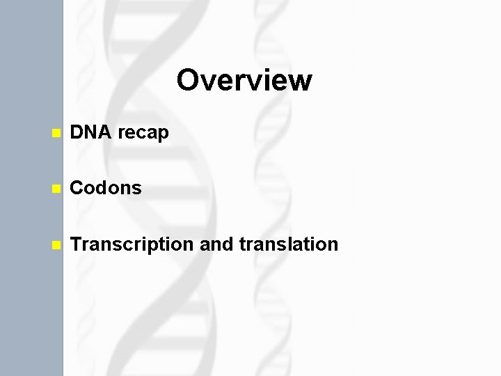 Overview n DNA recap n Codons n Transcription and translation 